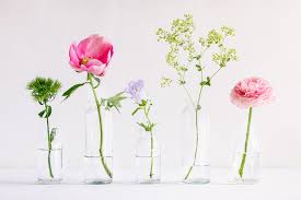 Why Flowers Are Good for Your Mental Health