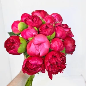 Peonies for her
