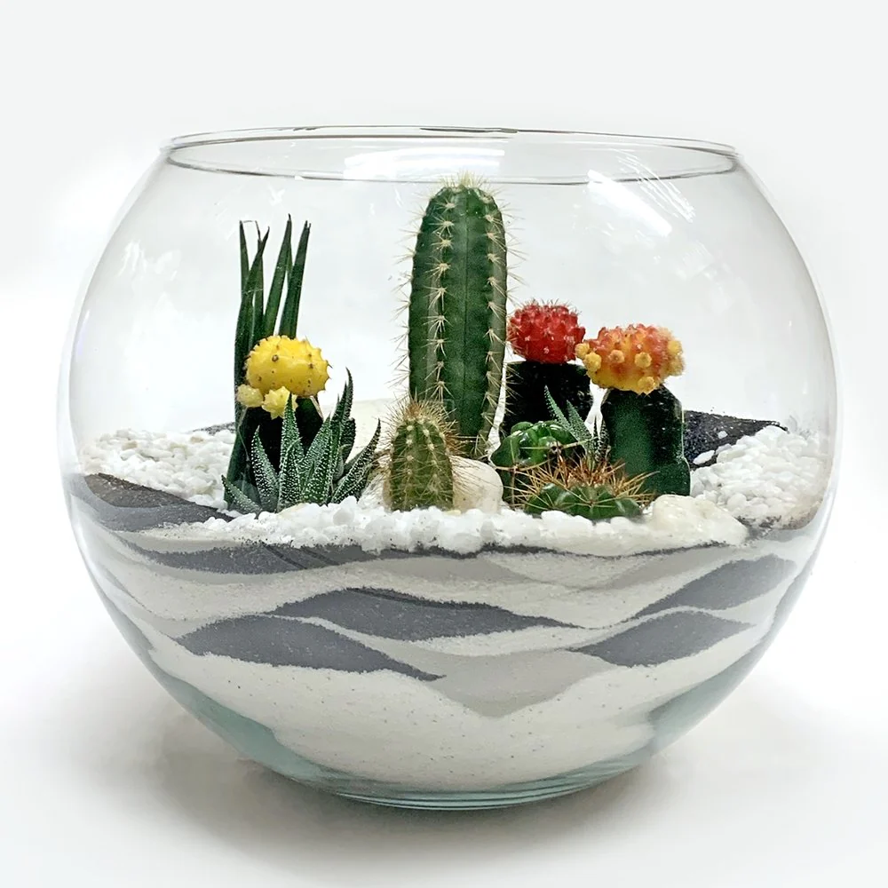 Fishbowl terrarium / round