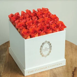 Roses – Classic Cubo
