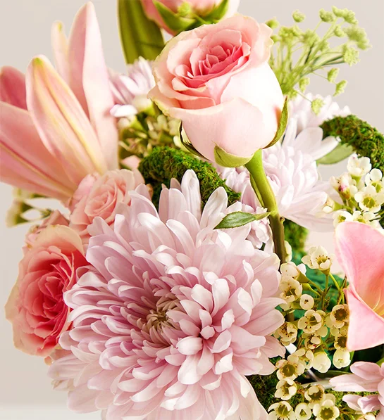 Palermo Blush™ - Image 3