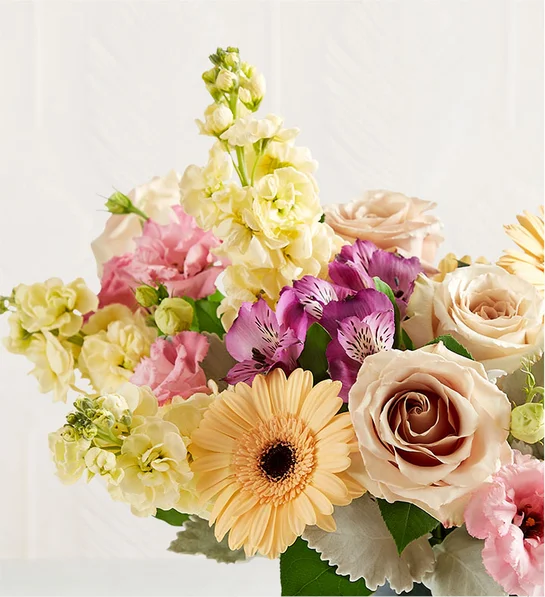 Nature’s Charm™ - Image 2