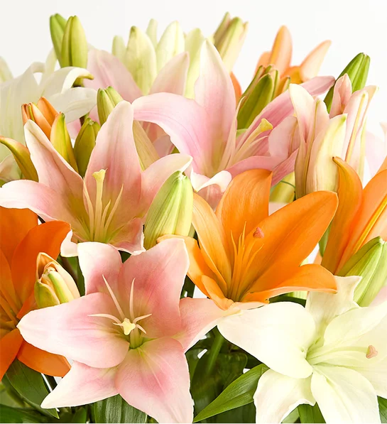 Vibrant Summer Lily Bouquet - Image 2
