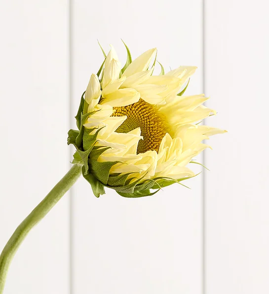 Sunflower Radiance Bouquet - Image 3