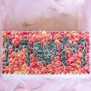MOM – Mega Grande