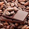 Chocolate Essence 20 ml - Image 2