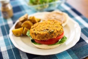 Vegan Grilled Cheese Sandwiches 5 Ways