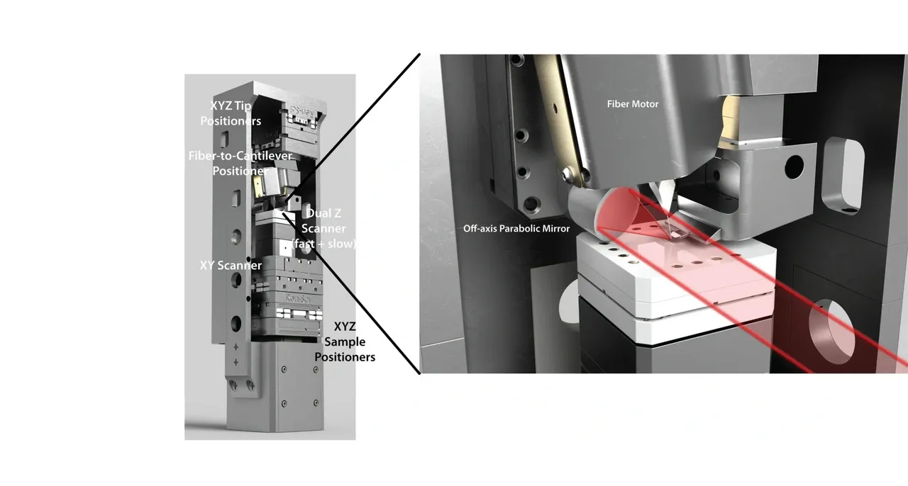 Cryo IR Near-Field microscopy